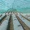 greenhouse film for vegetable in agricultural products