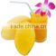 Fresh Natural Mango Juice