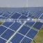 230W 240W 250W Solar Modules For Brazil Market/Photovoltaic Panel