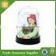 Snow globe Water globe Snowstorm Snow dome Photo Picture Frame