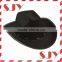 New arrival Autumn or Winter 100%wool funny child size cowboy hats