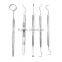 2016 Dental Hygiene Kit, Dental Tools with Tarter Scraper/ Dental Mirror/ Tweezer/ Dental Toothpick/ Scaling Instrument DK-012