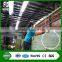 Home decorative artificial grass outdoor