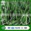 W green antiuv synthetic grass for soccer fields