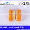 Double-Color Dentition Model School Education Teaching Model
