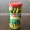 Green asparagus spears in glass jar