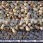 Black Eyed Beans / Cowpeas / Chora Whole / Vigna unguiculata ( Red Ruby Brand )