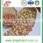 China best quality groundnut peeled