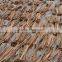 Vietnam cinnamon and cassia best quality