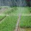 Plastic Material And Other Watering & Irrigation Type Irrigation Drip Tape 0.2mm Thickness