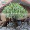 SJ15001027 Artificial wisteria flower plant silk flower tree with factory price