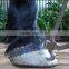 Horse Hoof Cast