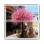 2015 Wholesale decorative artificial fake wedding blossom tree cheap silk plastic cherry blossom tree life size trees and plants