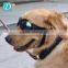 New Fashion Dog Sunglasses Polarized Glasses