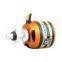 AXI Gold Line Outrunner Motor