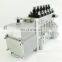 Dcec Diesel Engine 6CTA8.3-GM155 Fuel Injection Pump 3972878