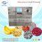 LG 0.2 Small vacuum freeze dryer for banana and dragon fruit freeze dryer price