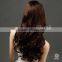 W3415 Virgin Brazilian Curly Human Hair Lace Front Wig