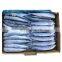 Hot sale Whole frozen pacific saury fish