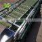 MS commercial fruit and vegetable sorter potato garlic grater sorting machine