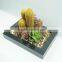 2014 new design artificial cactus plants /wholesale bonsai trees