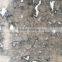 Grey Wolf Chinese Marble Floor Covering Tiles, Wall Tiles