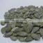 Raw Pumpkin Seeds GWS