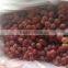 Red global grape/Red grape/Bulk grape