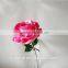 Cheap wholesale Beautiful Single Red Rose Flower