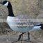 high quality America and Canada foam goose decoy