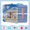 Customized rectangular metal lunch tin box with a plastic handle