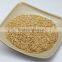 eco-design environmental kitchen equipment dinner plates
