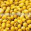 yellow soybeans with high quality for sale