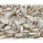 Chinese Sunflower seeds kernels for sale