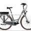electric bike lady dutch heren ( HJ-15C01 )