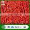 Red Color Artificial Grass Baseketball Flooring