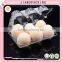 Disposable transparent PET clear blister plastic egg tray