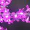High quality of Light up Bauhinia cherry trees