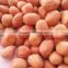 chinese java peanuts kernels