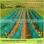 China Products Cheap Eco-Friendly Uv-Treated Anti-Hail Net