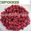 2015 crop IQF raspberry whole high quality