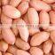 Peanut in Shell 2015 New Crop