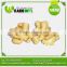 OEM Or ODM China Organic Ginger With Different Package