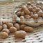 High Quality Wholesale Roasted Peanuts Flavored Coated Peanuts
