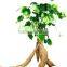GMP certified Factory supply top quality Kudzu Root Extract powder