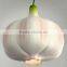 Four Seasons Supplier Wholesale of Fresh Garlic 2016'