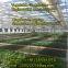 Greenhouse engineering professional builders