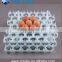 PP Plastic Egg Tray