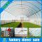 Economical galvanized steel truss single tunnel greenhouse with accessories