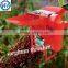 Factory agricultural sorghum thresher